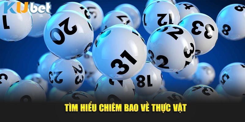 Tìm hiểu chiêm bao về thực vật