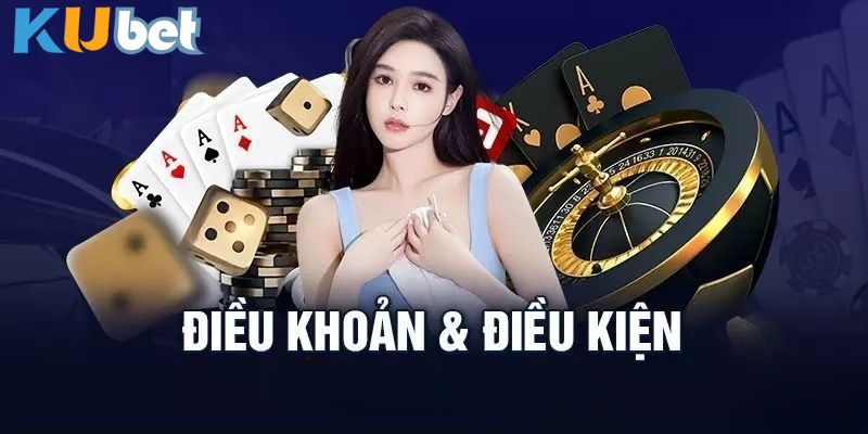 Điều khoản điều kiện trở thành hệ thống tra cứu cho người dùng