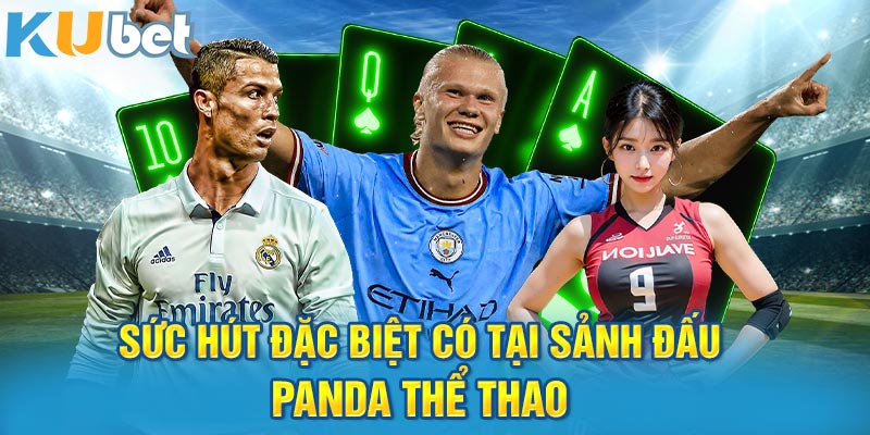 Sức hút đặc biệt có tại sảnh đấu chất lượng Panda thể thao